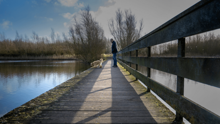 Man-on-bridge-with-a-dog