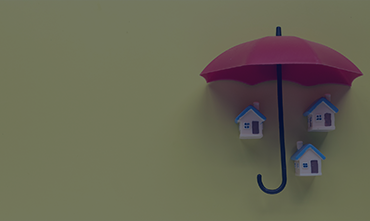 Protection Insurance Guides